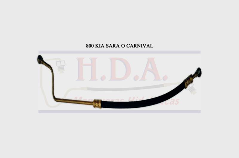 800 KIA Sara O Carnival