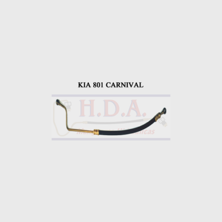 KIA 801 Carnival
