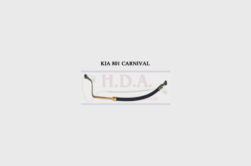 KIA 801 Carnival