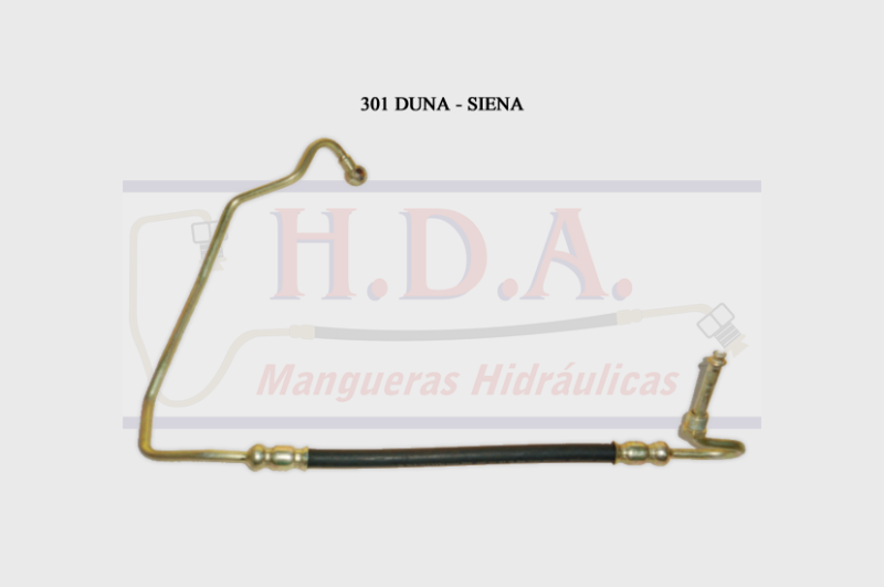 301 Duna - Siena