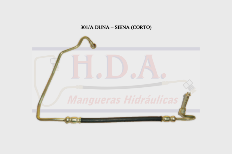 301 Duna - Siena (corto)