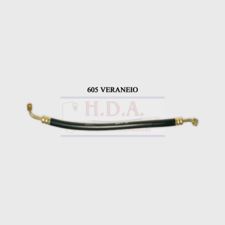 605 Veraneio