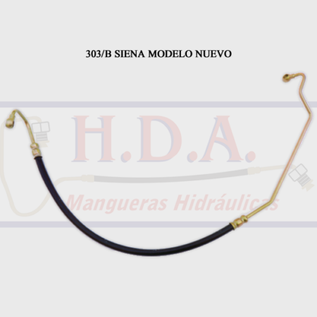 303/B Siena Modelo Nuevo