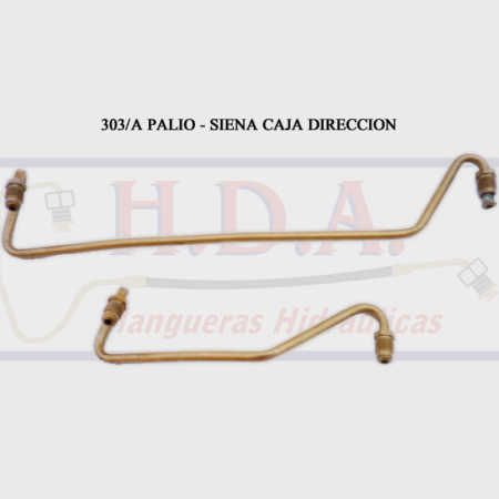 303/A Palio - Siena Caja Dirección