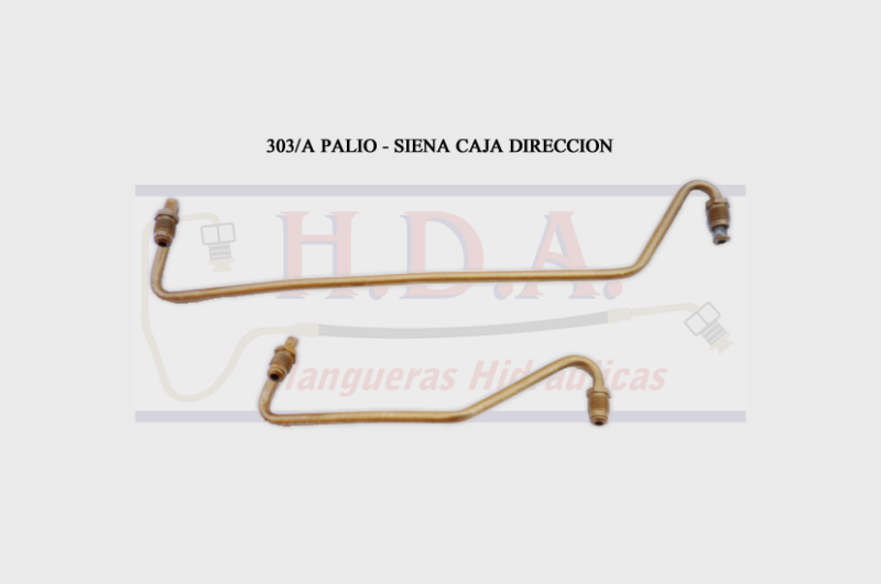 303/A Palio - Siena Caja Dirección