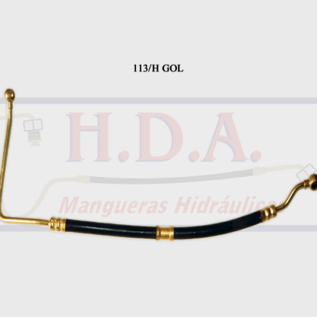 113/H Gol