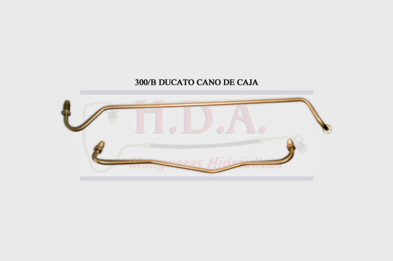 300/B Ducato Caño de Caja