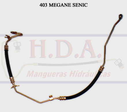 403 Megane Scenic