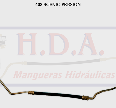408 Scenic Presión