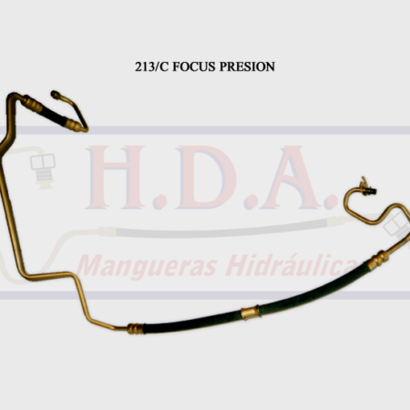 213/C Focus Presión