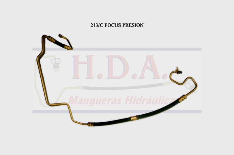 213/C Focus Presión