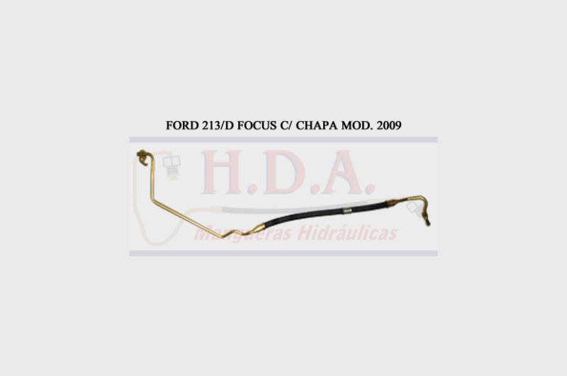 Ford 213/D Focus C/Chapa Mod. 2009