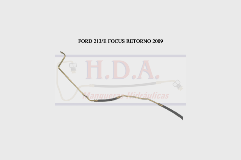 Ford 213/E Focus Retorno 2009